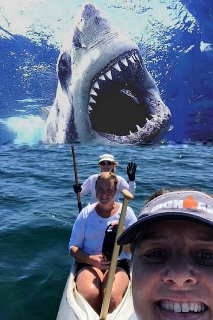 Marnie - Selfie Photobombed By A Shark! 3