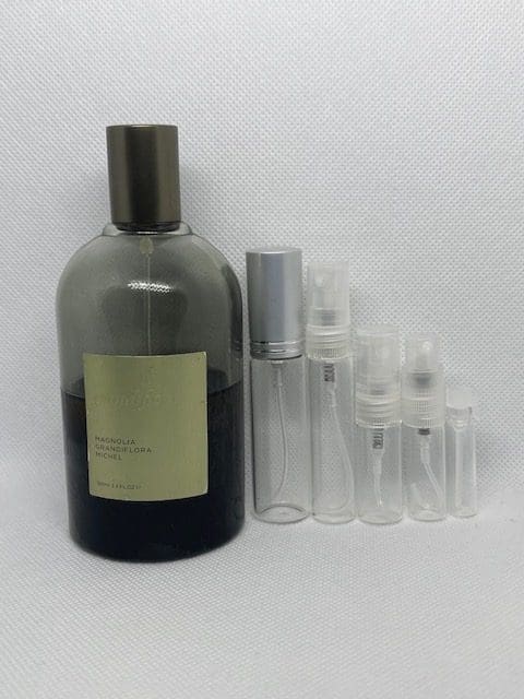 Magnolia Grandiflora Michel EDP by Grandiflora