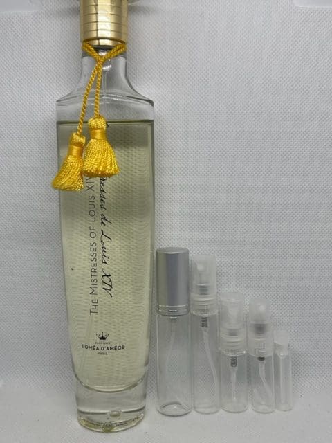 The Mistresses of Louis XIV by Romea d'Ameor