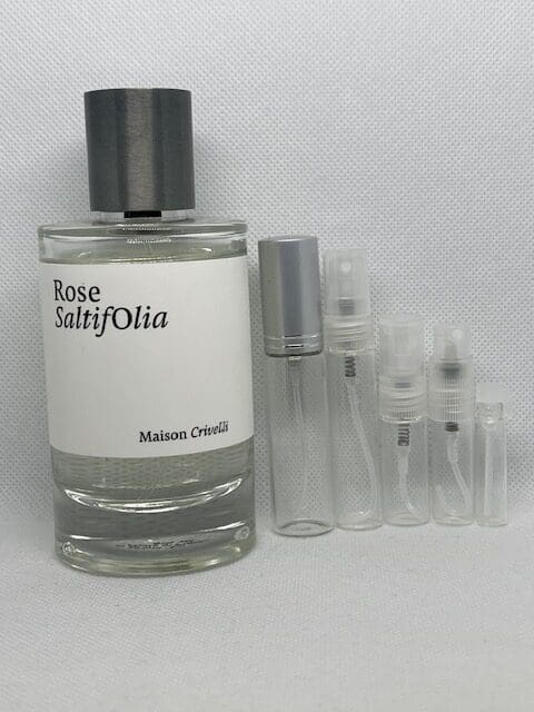 Rose Saltifolia by Maison Crivelli