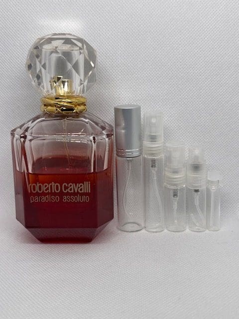 Paradiso Assoluto EDP by Roberto Cavalli