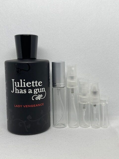 Lady Vengeance by Juliette Has a Gun